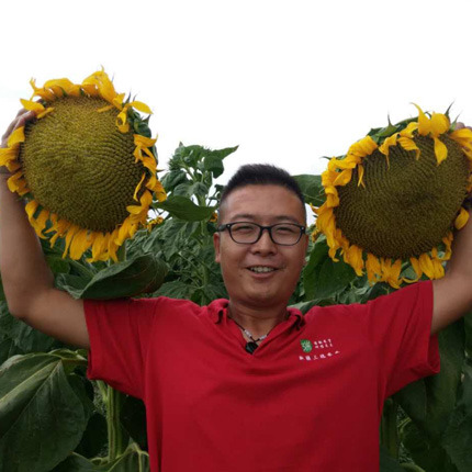 引进SH363，携手三胖蛋布局全国