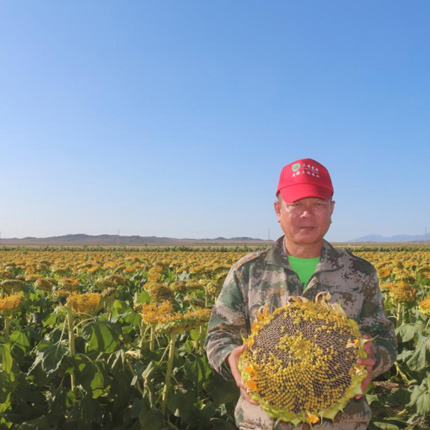 全疆布局，营销网络全面覆盖