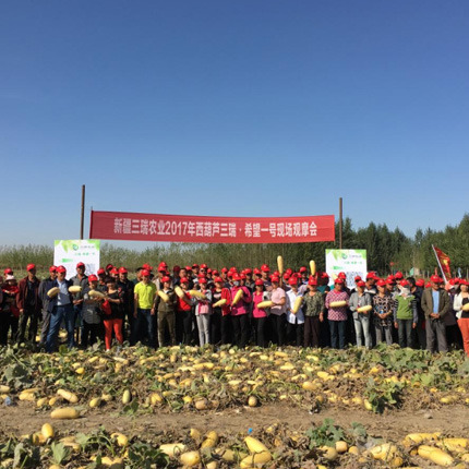 业界传奇，食葵售价史无前例