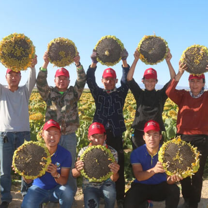 产业链整合，三胖蛋独家合作