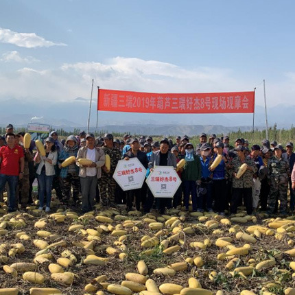 服务升级，因地制宜私人定制