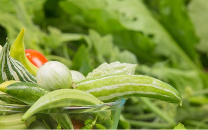 打籽西葫芦行业精英云集新疆三瑞，为葫芦种植户带来哪些优势？