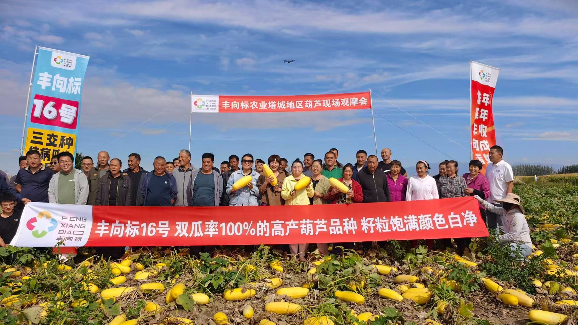 高产抗病瓜多，明年种它就对了 | 塔城额敏丰向标16号现场观摩会圆满落幕！