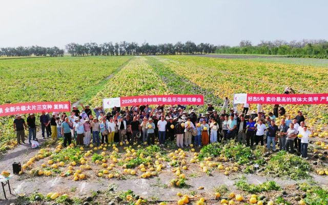 丰收在即，好品种看得见|奇台110团七连籽用葫芦现场观摩会圆满结束！
