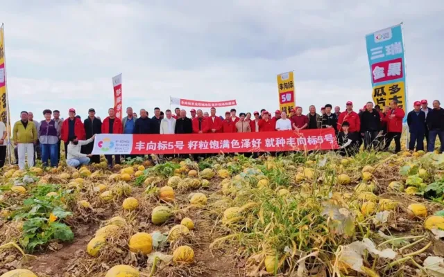 坚守育种初心，以良种促增收|塔城丰向标5号现场观摩会圆满结束！