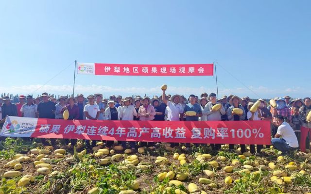 抗病稳产，复购率高|伊犁察县三瑞硕果现场观摩会圆满落幕！