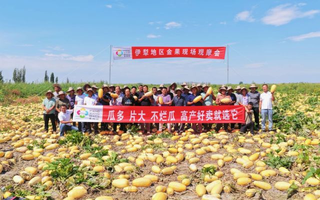 实地鉴好种，好种好丰收|伊犁金果现场观摩会圆满结束！