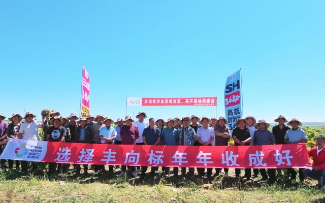 农户满意的品种就是好品种| 固阳县SH363F现场观摩会圆满结束！