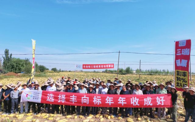 高产明星品种，复购率近100%｜磴口县三瑞硕果现场观摩会圆满结束！