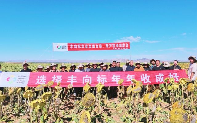 高抗列当籽粒饱，农户开口就是好｜前旗小佘太 三瑞3号F+SH363F现场观摩会圆满结束！