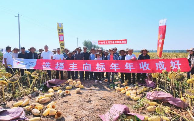 好地种好是常规，差地稳产才是真本事|前旗苏独仑三瑞玉果现场观摩会圆满结束！