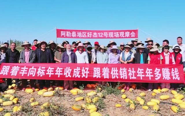 现场订购5300亩，好杰12号赢得农户真金白银的认可|黄花沟现场观摩会圆满结束！